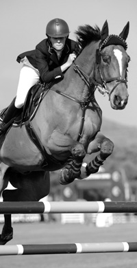 Showjumping Photography